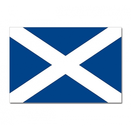 Gevelvlag/vlaggenmast vlag Schotland 90 x 150 cm