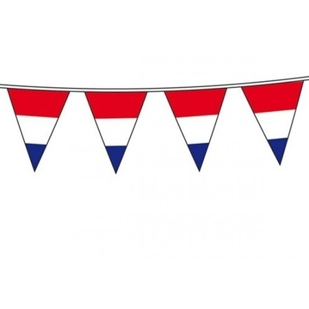 Hollandse vlaggen/vlaggenlijnen pakket groot