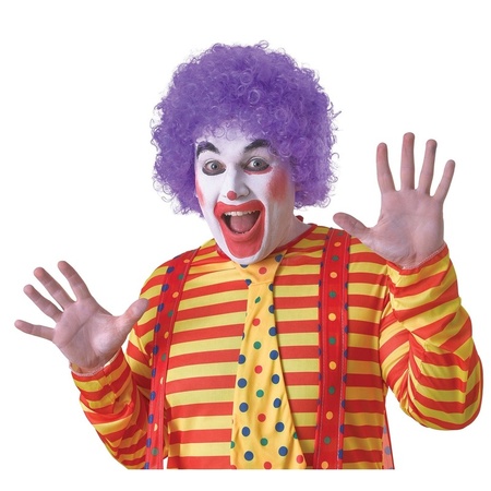 Verkleed clown pruik paars voor volwassenen
